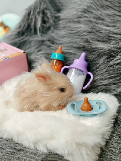 Силиконовый кролик реборн Rebunny-4