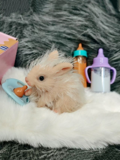 Силиконовый кролик реборн Rebunny-3