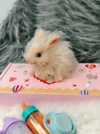 Силиконовый кролик реборн Rebunny